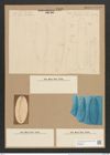Plagiotropis vitrea (W. Sm.) Grun. (de-Toni-Nr.: Genus 30, Species 1367) Zeichnungen Sammlung Grunow Nr. 2488 (NHMW-BOT-W0369809)